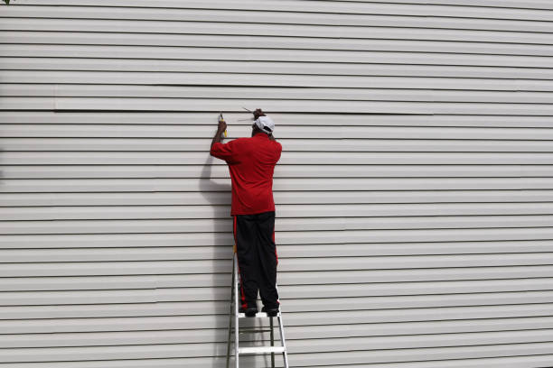 Reliable Snowmass Village, CO Siding Solutions