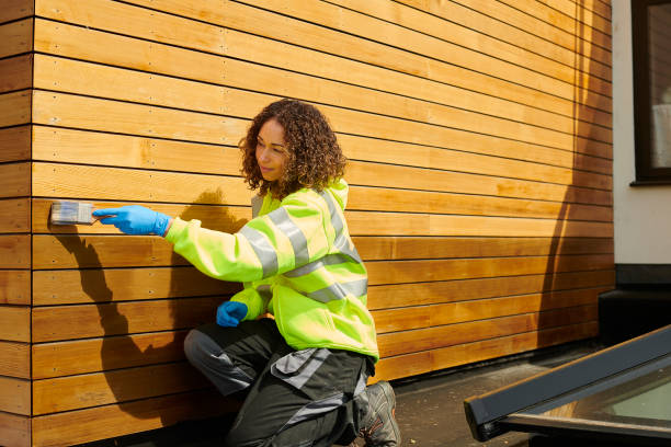 Best Siding Painting and Refinishing  in Snowmass Village, CO
